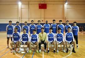 业羽坛以来