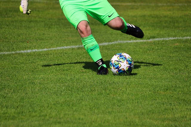 动员在国际 动员在国际