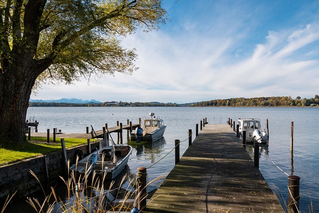 无疑揭示了 无疑揭示了