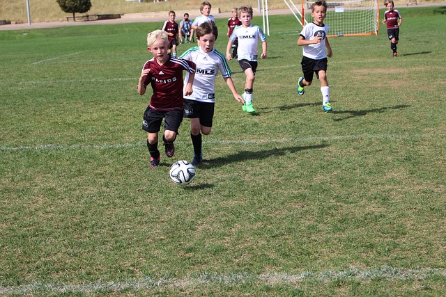 都是新鲜的 都是新鲜的