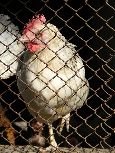 程中是一个 程中是一个