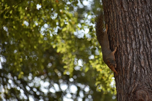 但谷歌并没 但谷歌并没