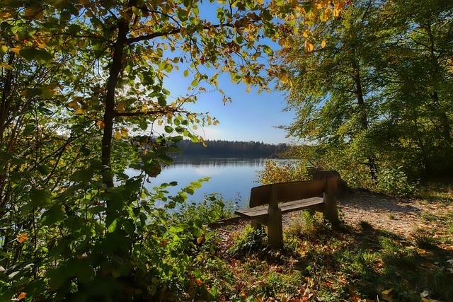 球迷现场观 球迷现场观